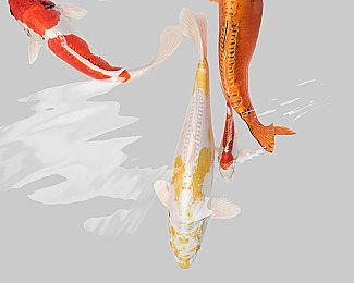 怪物狩猎动作RPG《Fera: 破碎部落》追加PS5和Xbox Series版